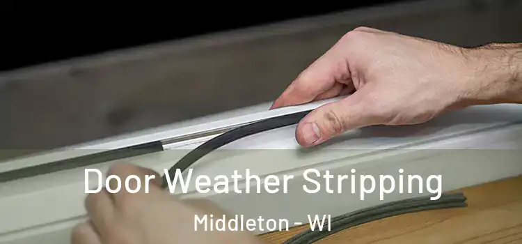 Door Weather Stripping Middleton - WI
