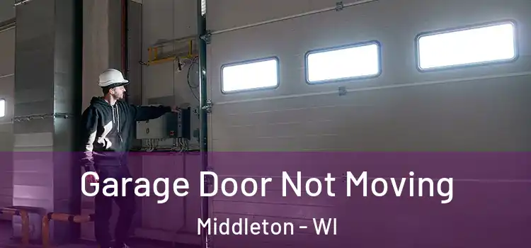  Garage Door Not Moving Middleton - WI