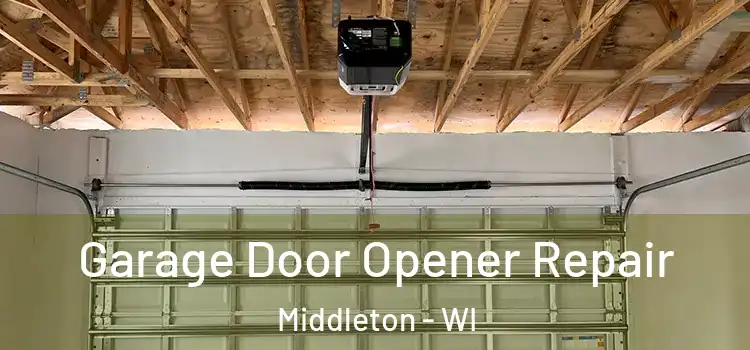  Garage Door Opener Repair Middleton - WI