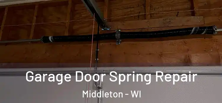  Garage Door Spring Repair Middleton - WI