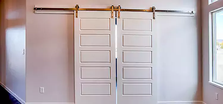 Glass Barn Door with Installation Hardware Kit Middleton