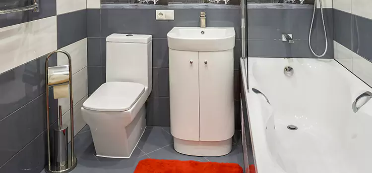 Hansgrohe Shaving Mirror Middleton