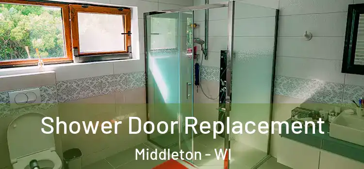  Shower Door Replacement Middleton - WI